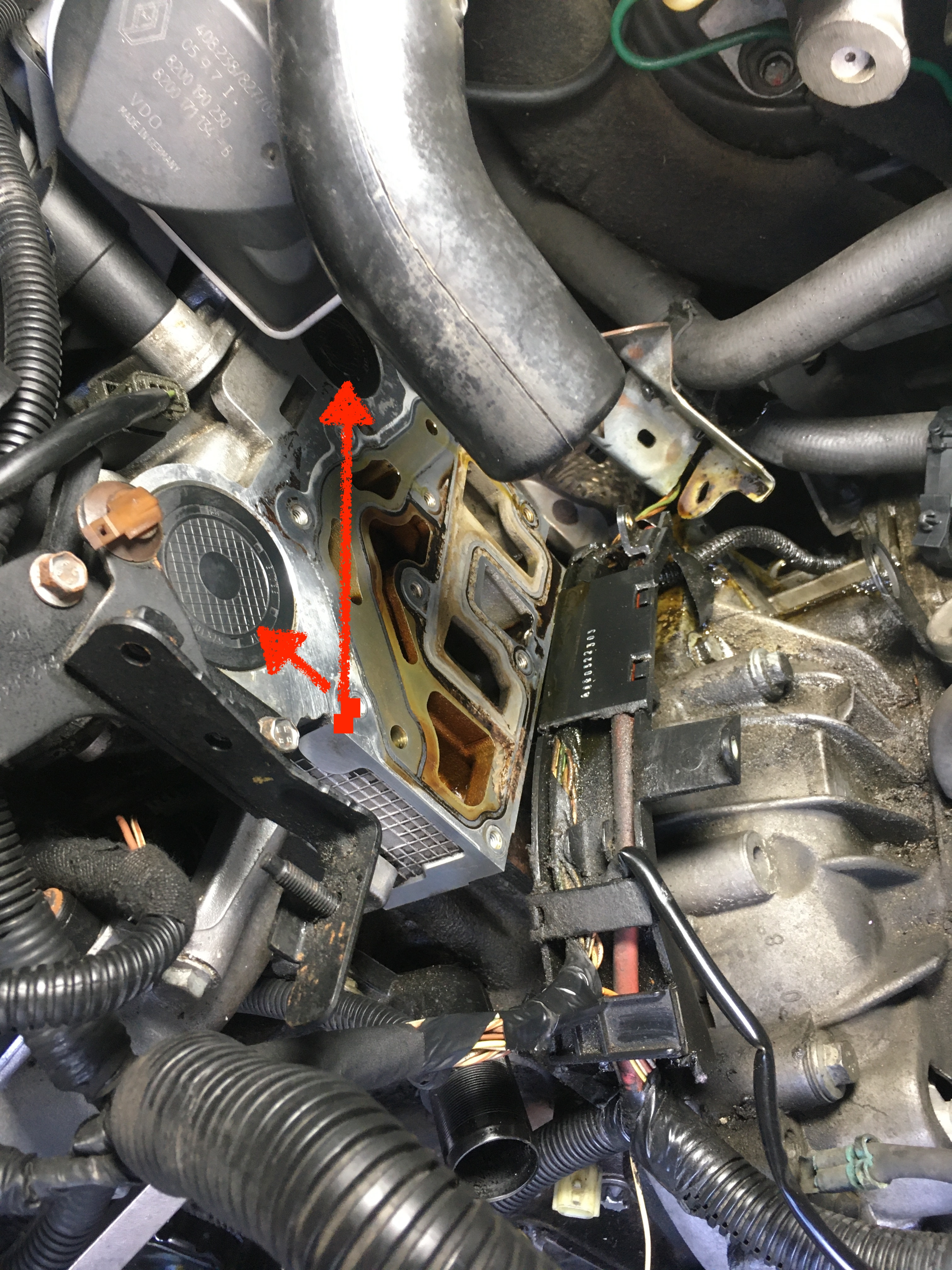 [Obrazek: IMG_7249.JPG]